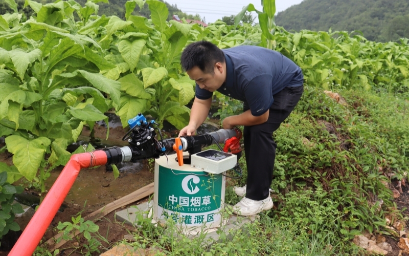 维护田间滴灌场景。