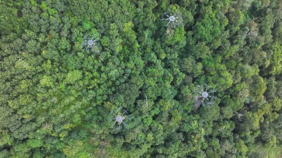 四台重载无人机联合吊运大件物资（无人机照片）。（南方电网供图）