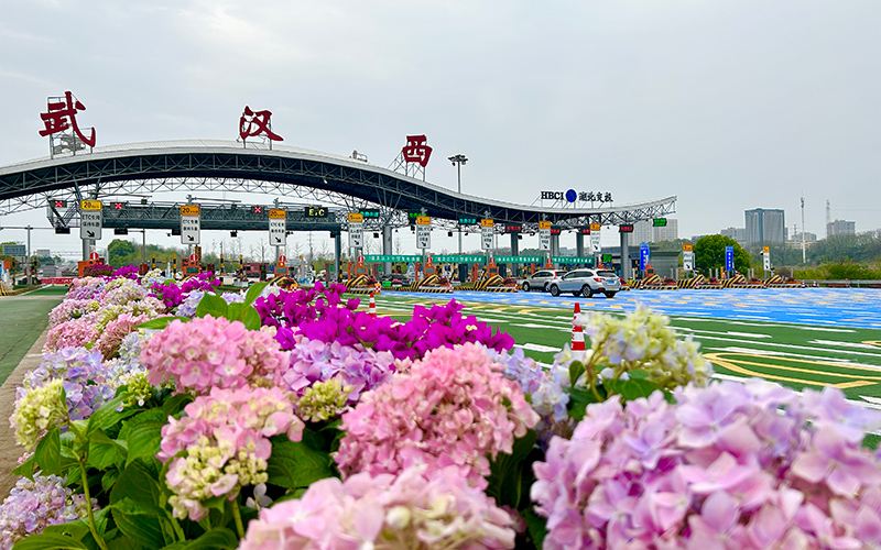 武汉西收费站处处花香。