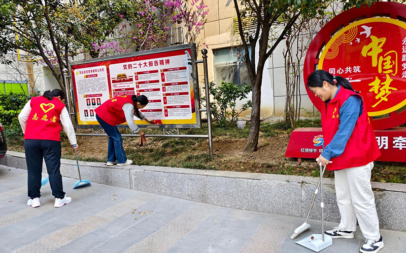 志愿者分工协作开展“清洁家园”行动。