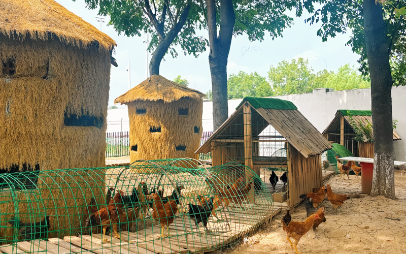 “阳光农庄”高速驿站“微景区”