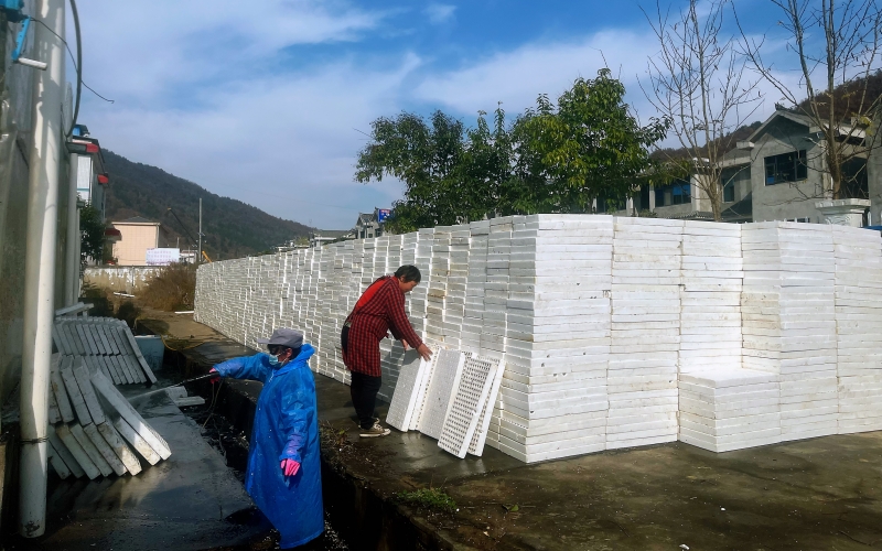 工人对育苗浮盘进行清洗消毒。刘琛摄