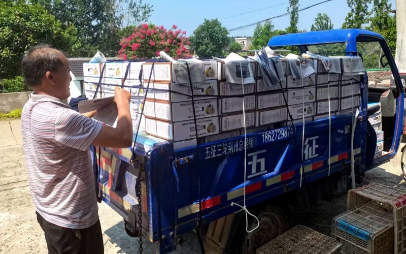 湖北枝江烟草帮扶兴村。