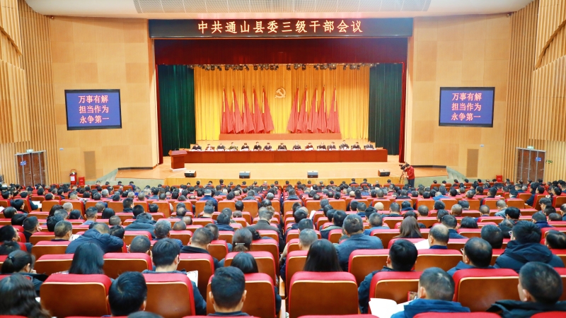 通山新春第一会现场。唐成摄