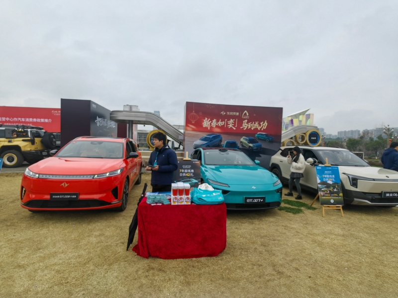 东风奕派汽车现场展示。人民网记者 郭婷婷摄