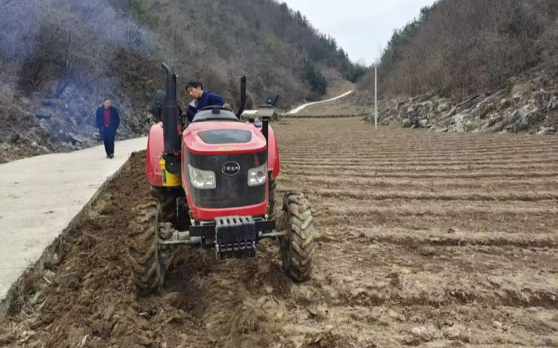 烟农正在烟田进行冬耕。
