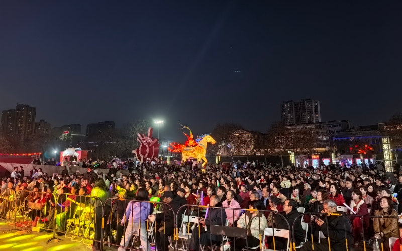 市民观赏灯会。