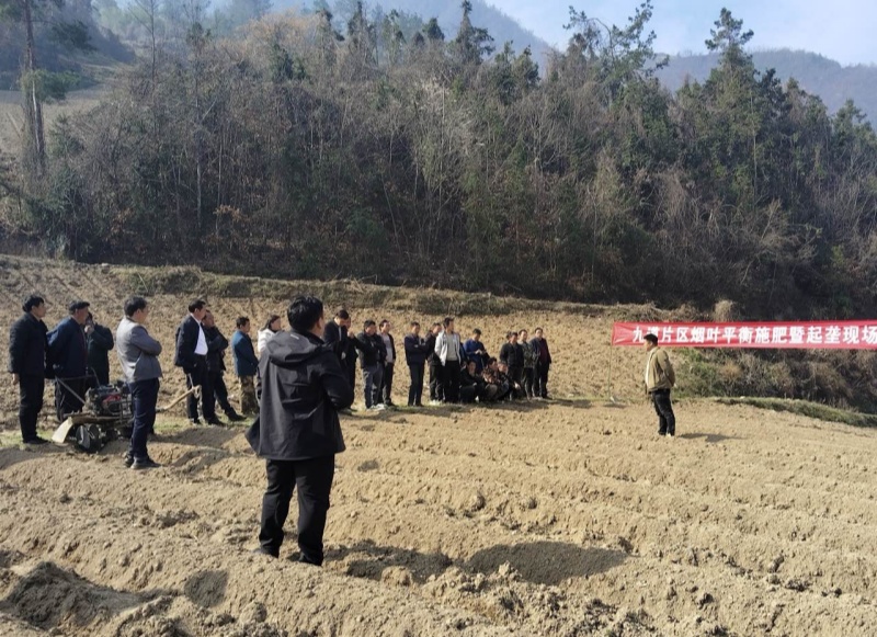 施肥起垄现场会。朱文静摄
